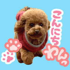 Hanachannnnnn
