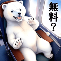 Polar bear on an airplane
