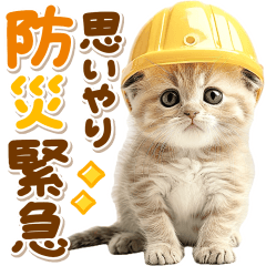 disaster prevention cat