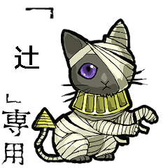 Mummycat Name tsuji Animation