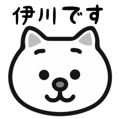 Igawa white cats sticker