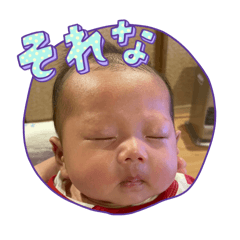 y_202403241608050127