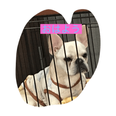 hana_20240324190408721