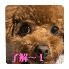 kika_20240324221131