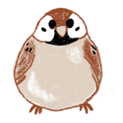 MOFUMOFU sparrow