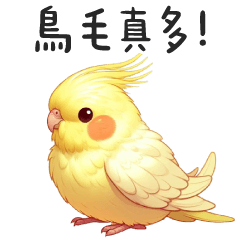 (R)Cockatiel_Bird feathers