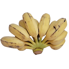食物系列 : 一些香蕉 #7