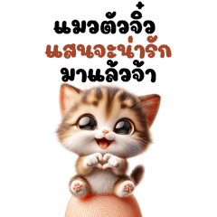 แมว – ตัวเล็กน่ารัก