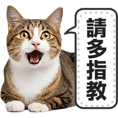 Greet with Cat Meme! Message Sticker. tw
