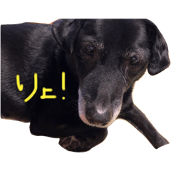 SAKURA_20240325212807