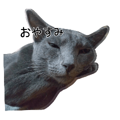 名も無きロシアンブルーのかわいいスタンプ