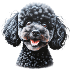 Photographic style black poodle