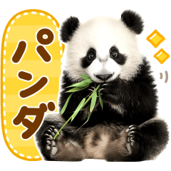 kawaii panda sticker !