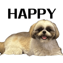 ie._.suki_20240325211531