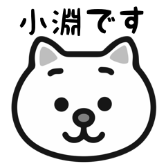 Obuchi white cats sticker