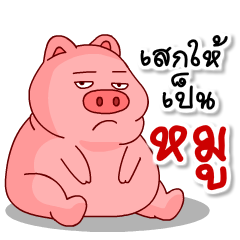 Samran man 8