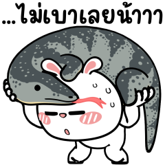 ต่ายไฮเปอร์ : ..ไม่เบาเลยน้าาา