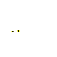 white cat(ordinary)