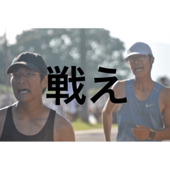 rui_20240325230720