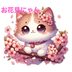 Princess cats cherry blossom viewing