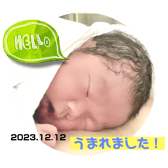 yuka_20240326002701