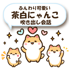 Cute brown white cat JP