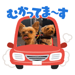 sakura_20240326141008