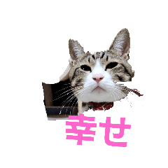 yuka_20240326141057