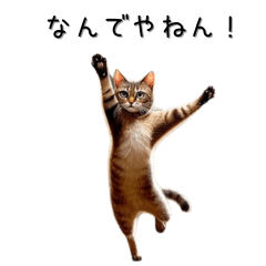 Kansai dialect cat meme sticker