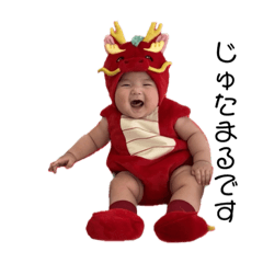 Kota mama_20240326152514