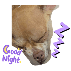 Nyshop_20240327112443