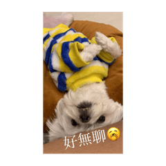 Sharon_20240325164034