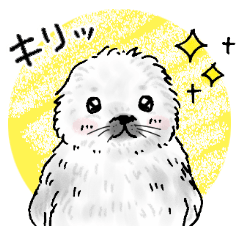 Seal daily conversation Sticker