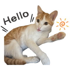 Xuan_20240327170103 – LINE stickers | LINE STORE