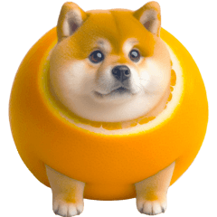 圓柴柴8：水果口味狗狗