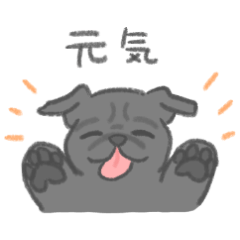 cute black pug Mizuki Tokieda