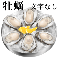 oyster 12