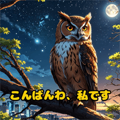 Whoo's World: Owl Adventures