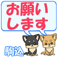 Komagomi's letters Chihuahua2