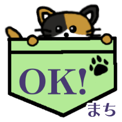 Machi's Pocket Cat's  (3)