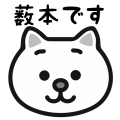 Yabumoto white cats sticker
