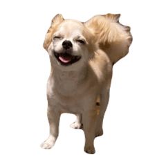 yuka_20240327210317