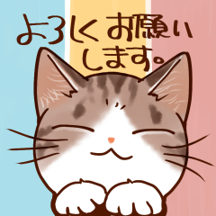 Polite talking Kijitora cat Sticker