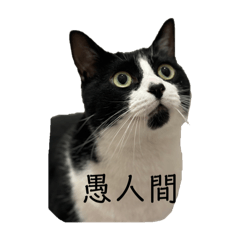 omo_2024032722503