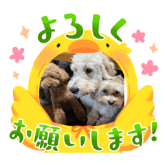 yuka_20240328113455