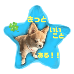 chocomint_20240328072038
