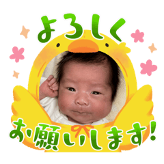 chiharu_20240328110506