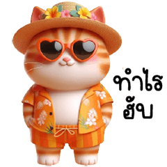 แมวส้ม น่ารัก ชุดฮาวายหมวกฟาง ซัมเมอร์