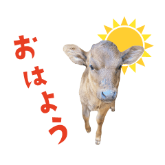 Japanese beef Sticky stamp