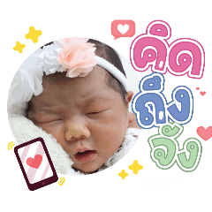 princ paknampo_20240328090400